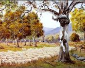 Australian Bush - 乔治·菲利普斯